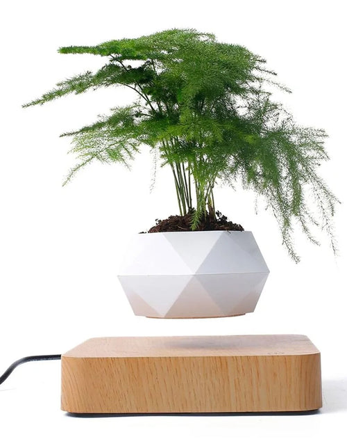 Load image into Gallery viewer, Air Levitation Bonsai Pot
