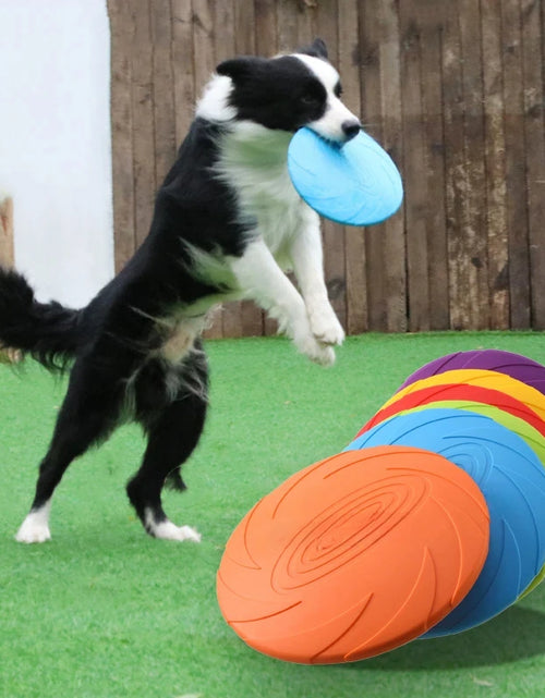 Load image into Gallery viewer, Outdoor Pet Toys Silicone Dog Toys Interactive Toys Pet Supplies 18Cm
