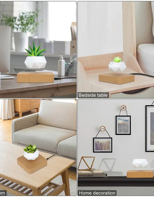 Load image into Gallery viewer, Magic Floating Flower Pot
