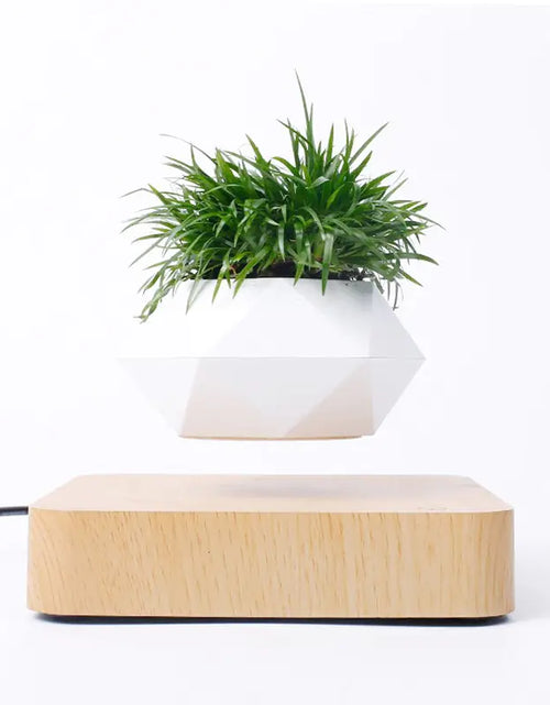 Load image into Gallery viewer, Magnetic Suspension Flower Pot
