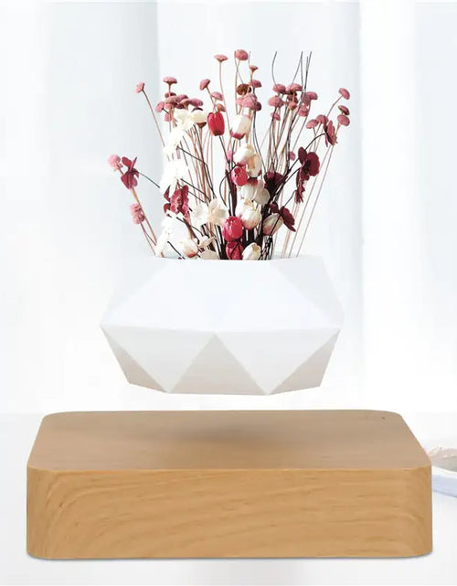 Load image into Gallery viewer, Magic Floating Flower Pot
