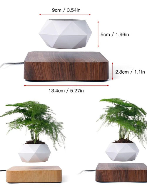 Load image into Gallery viewer, Air Levitation Bonsai Pot
