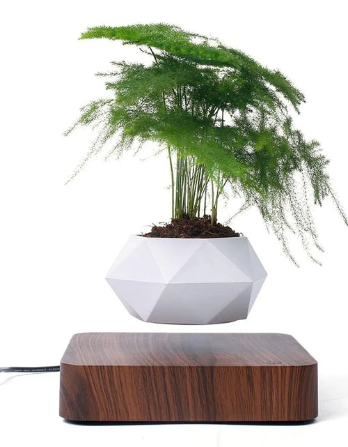 Load image into Gallery viewer, Air Levitation Bonsai Pot
