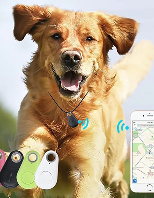 Load image into Gallery viewer, Pet Smart GPS Tracker
